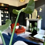 Beautiful 1 Bedroom Georgian Flat In Clifton Village With Parking * بريستول