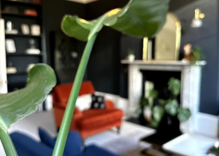 Beautiful 1 Bedroom Georgian Flat In Clifton Village With Parking * Bristol