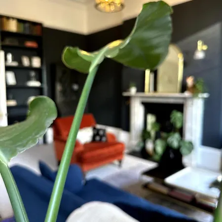 Beautiful 1 Bedroom Georgian Flat In Clifton Village With Parking * Μπρίστολ